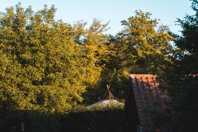 Kinder auf dem Lagerplatz in der goldenen Abendsonne